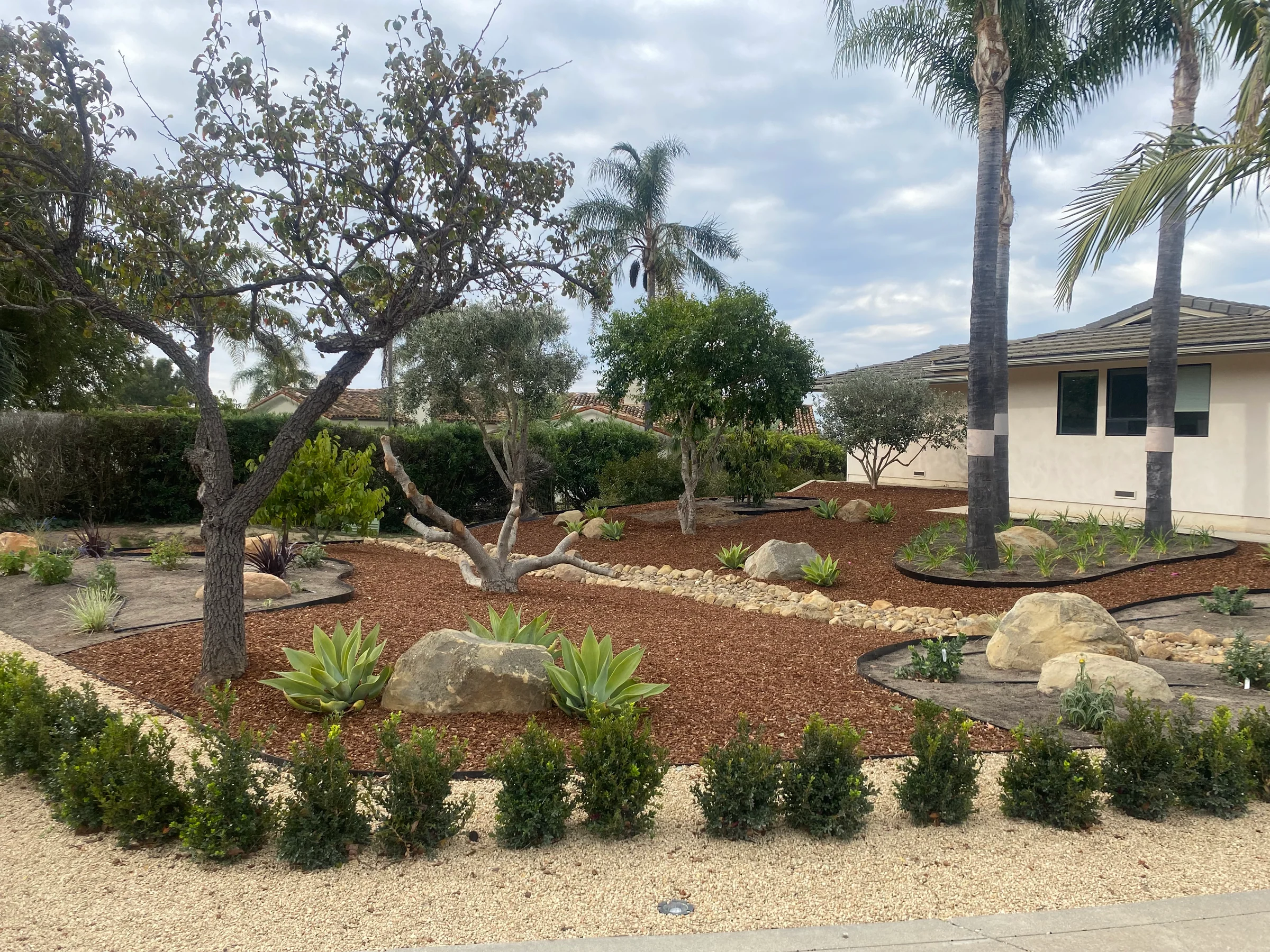 Palms and boulders surround a dry creek bed in a residential front garden.