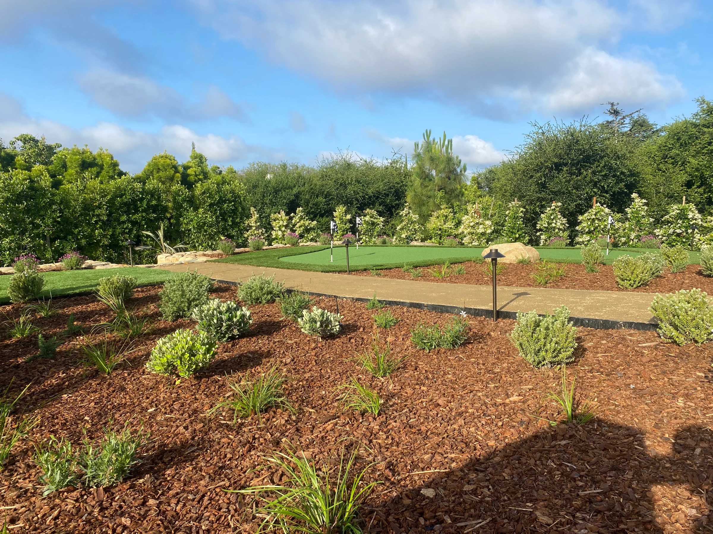 A putting green edged by trees, ornamental grasses, and garden planting.
