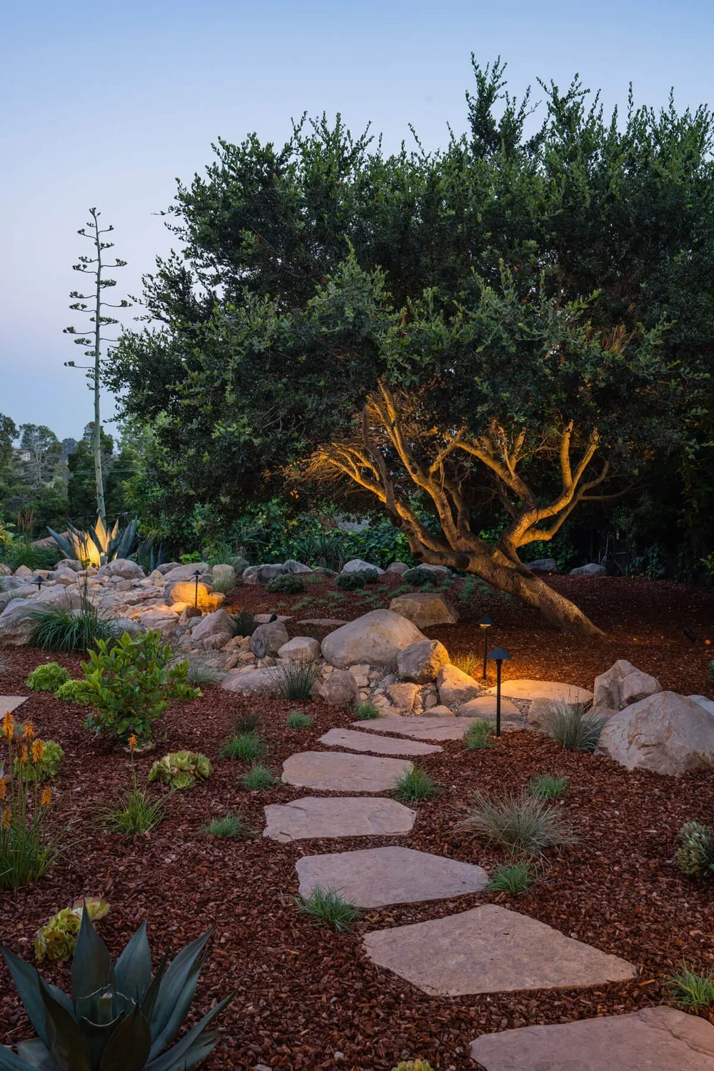Stepping stones wind beneath an illuminated spreading tree at twilight.